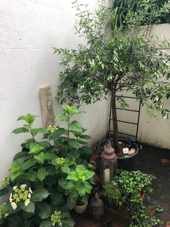 Olive Tree Apartment Hove Exterior foto