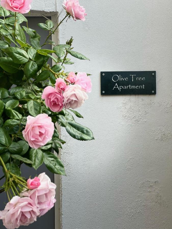 Olive Tree Apartment Hove Exterior foto